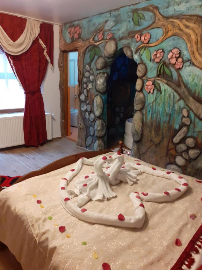 Pensiunea Dracula & Spa Capatineni-Ungureni ภายนอก รูปภาพ