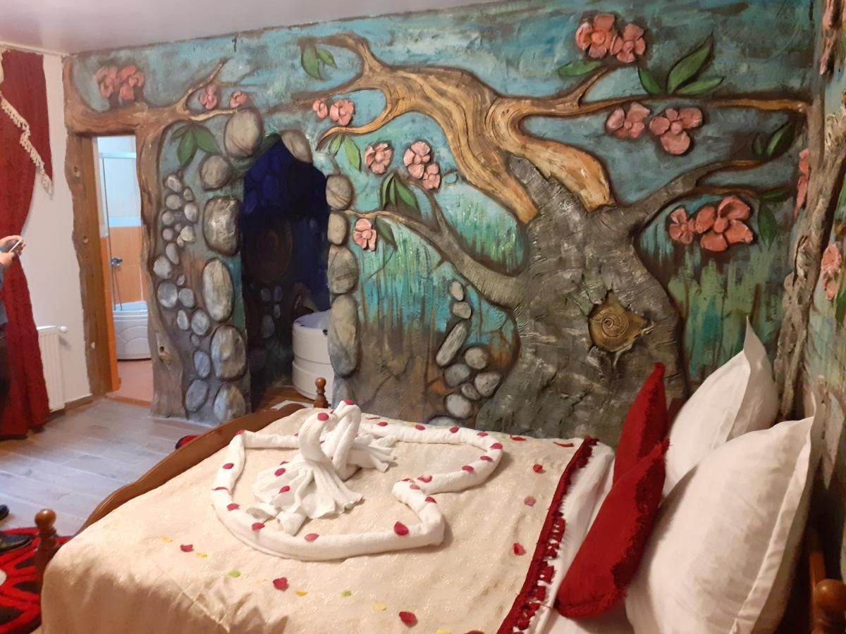 Pensiunea Dracula & Spa Capatineni-Ungureni ภายนอก รูปภาพ